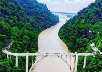 अनमोल विरासत कोरोनेशन ब्रिज