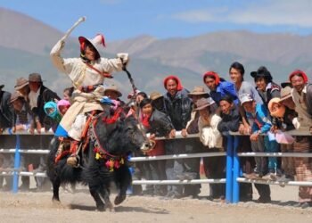 पर्यटन को बढ़ावा देने के उद्देश्य से पहली बार होगा हिमालयन याक महोत्सव