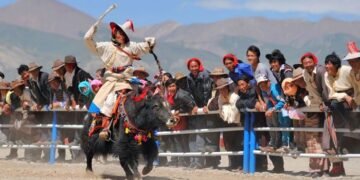 पर्यटन को बढ़ावा देने के उद्देश्य से पहली बार होगा हिमालयन याक महोत्सव